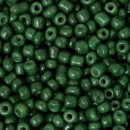 Seed beads 8/0 (3mm) Fir green